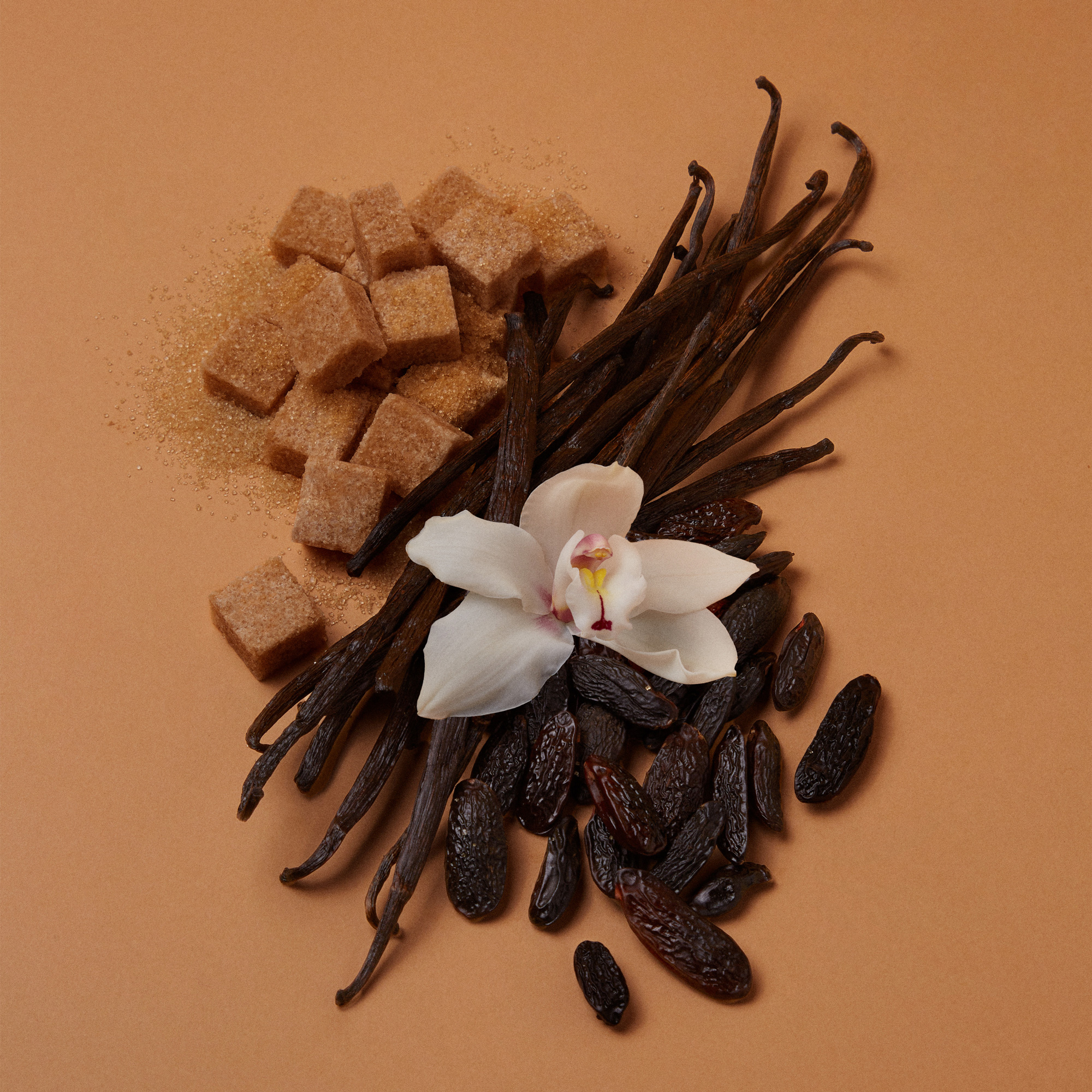 VANILLA | 28 EAU DE PARFUM ICONIC VANILLA PERFUME DUO